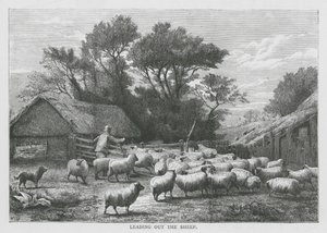 Guía de las ovejas (grabado) de English School