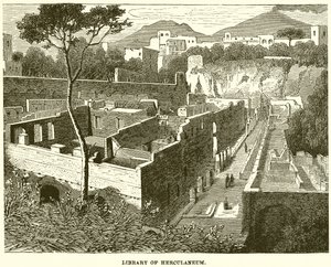 Biblioteca de Herculano de English School