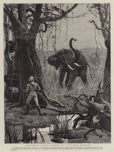 El teniente Stairs atacado por un elefante herido
