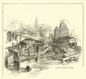 Vida en el río Cantón de English School