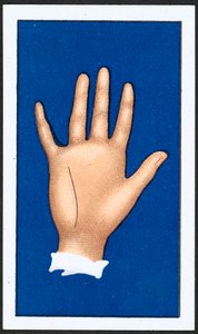 Línea de Intuición de English School