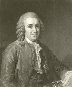 Linnaeus de English School