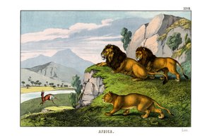 León de English School