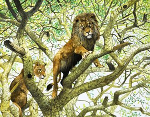 León y leona en un árbol (gouache sobre papel)