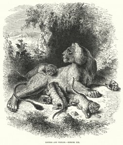 Leona y cachorros, Ezequiel XIX (grabado) de English School