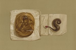 Mechón de Cabello de María Reina de Escocia, Mechón de Cabello del Rey Carlos I
