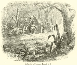 Cabaña en un jardín
