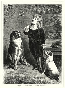 "Mira esta burbuja, verde y rosa" de English School