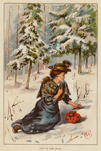 Perdida en la madera (color litho) de English School