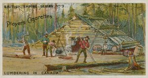 Explotación forestal en Canadá