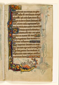 El médico mono y su paciente oso, decoración marginal del Salterio de Macclesfield, Uso de Sarum, East Anglia, c.1330 de English School
