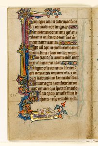 Un mono mirando el trasero de un hombre, decoración marginal del Salterio de Macclesfield, Uso de Sarum, East Anglia, c.1330 de English School