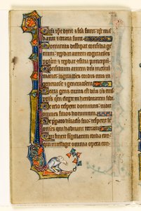 Una grotesca, decoración marginal del Salterio de Macclesfield, Uso de Sarum, East Anglia, c.1330 de English School