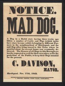 Aviso de Perro Rabioso, Hartlepool, 1843