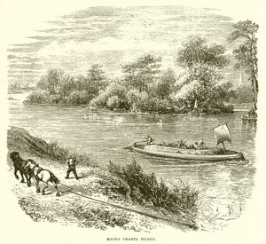 Isla de la Carta Magna de English School