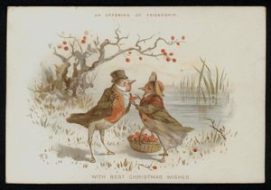 Petirrojos macho y hembra en traje. Tarjeta de felicitación de Navidad.