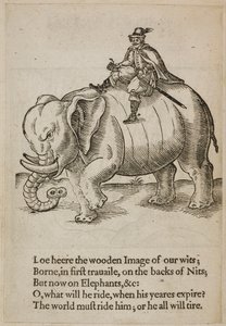 Hombre montando un elefante, ilustración de 