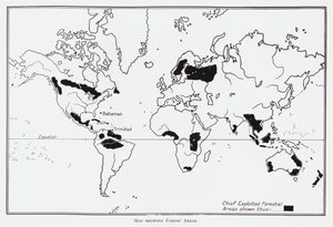 Mapa que muestra áreas forestales de English School