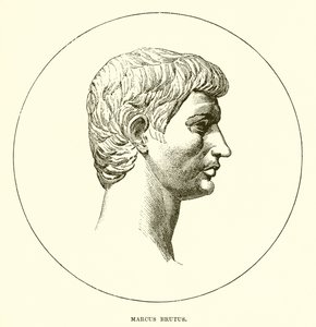 Marco Bruto de English School