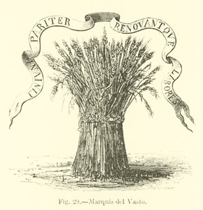 Marqués del Vasto