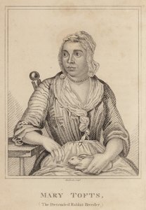 Mary Tofts, La Falsa Criadora de Conejos de English School
