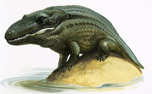 Mastodosaurus