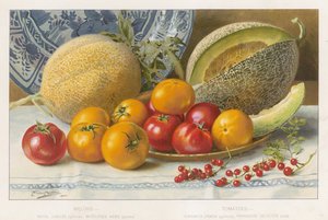 Melones y tomates