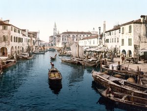 Mercato di Pesce, Chioggia de English School