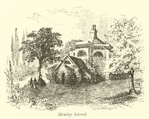 Isla del Mono