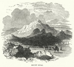 Monte Sinaí de English School