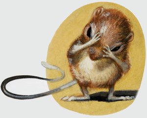 Ratón