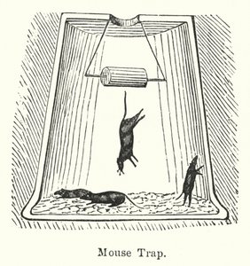 Trampa para ratones (grabado) de English School
