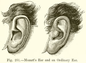 La oreja de Mozart y una oreja ordinaria de English School
