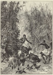La expedición de rescate de Emin Pasha por el Sr. H. M. Stanley