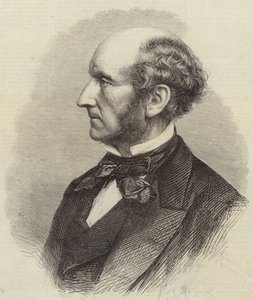 Sr. John Stuart Mill de English School