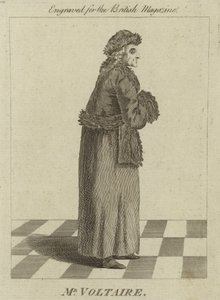 Sr. Voltaire de English School