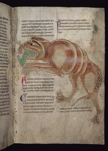 Ms.254 f.24 r Cocodrilo Tragándose a un Hombre de English School