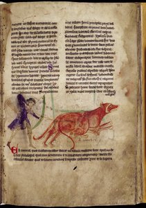 Cazador apuntando una flecha a dos castores, de un Bestiario, principios del siglo XIII