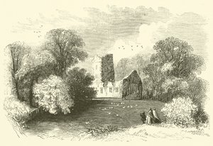 Abadía de Mucruss de English School