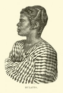 Mulato de English School