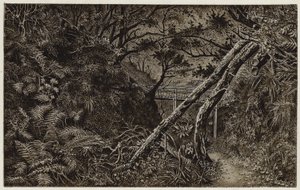 Mulgrave Woods, cerca de Whitby (litografía) de English School