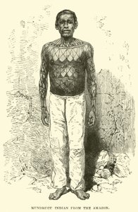 Indio Mundrucu del Amazonas de English School