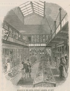 Museo en los Jardines Botánicos Reales, en Kew de English School