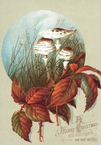 Hongos y hojas, tarjeta de Navidad
