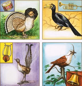 Instrumentos musicales de aves de English School