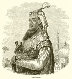 Nana Sahib de English School