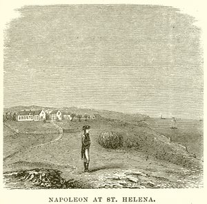 Napoleón en Santa Elena de English School