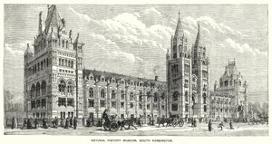 Museo de Historia Natural, South Kensington de English School