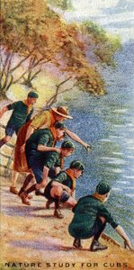 Estudio de la Naturaleza para Lobatos, 1929 de English School