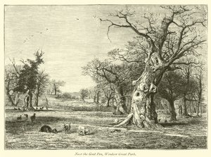 Cerca del corral de cabras, Gran Parque de Windsor